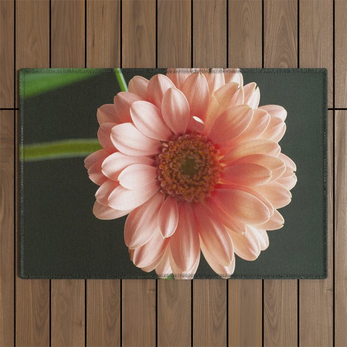 Pink Daisy Outdoor Rug