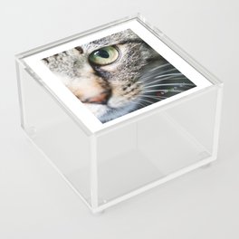 CAT EYE Acrylic Box