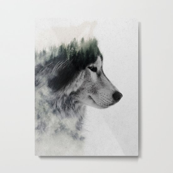 Wolf Stare Metal Print