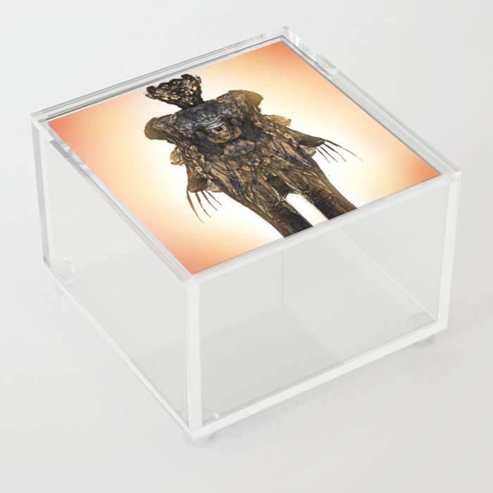 Shadow Self Acrylic Box