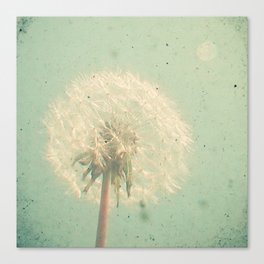 Dandelion Clock Canvas Print