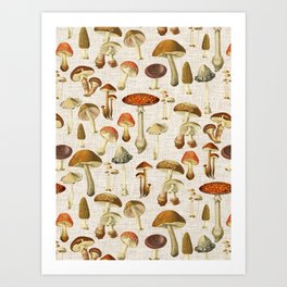 Mushroom Art Print