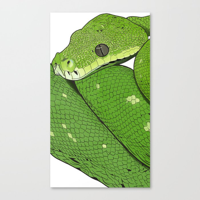 Green snake Canvas Print