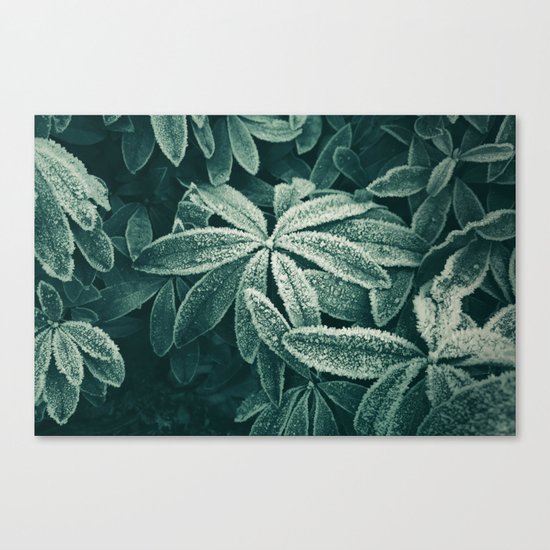 Frozen Greens Canvas Print