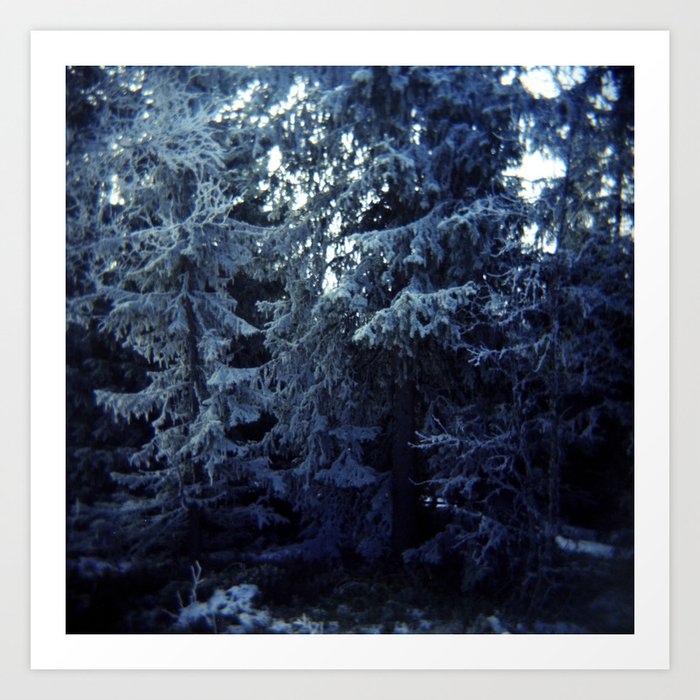 Snow Pines Art Print
