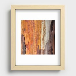 Tree Bark Abstract # 16 Recessed Framed Print