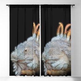 Spiked Electric Iguana Blackout Curtain