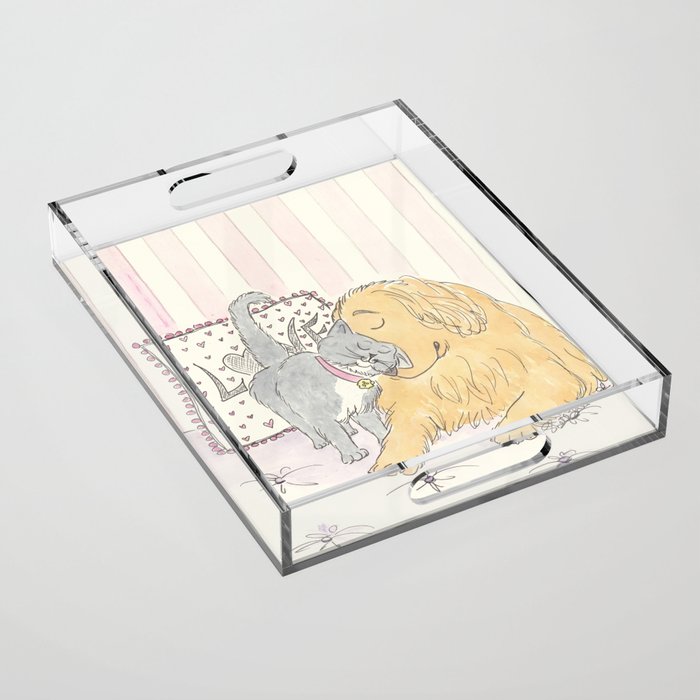 Golden Retriever and Sweet Cat Hugs Acrylic Tray