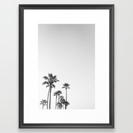 Black and White California Palms Framed Art Print