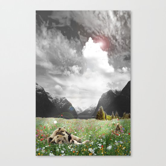 BREAK OF BEAR Canvas Print