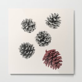 Pine cones Metal Print