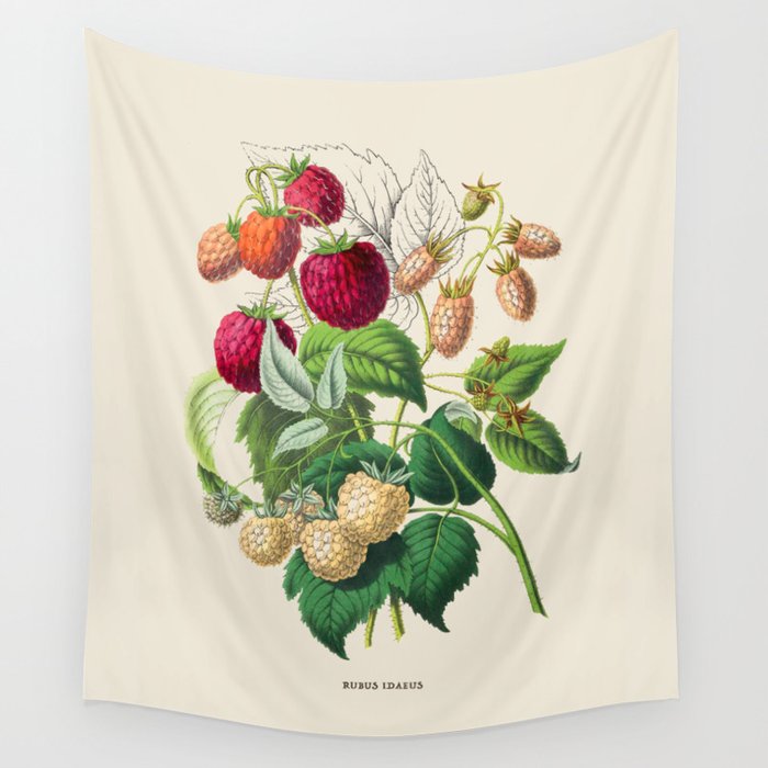 Raspberry Antique Botanical Illustration Wall Tapestry