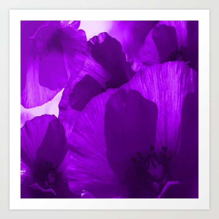 Ultra Violet Poppies #decor #society6 #buyart Art Print