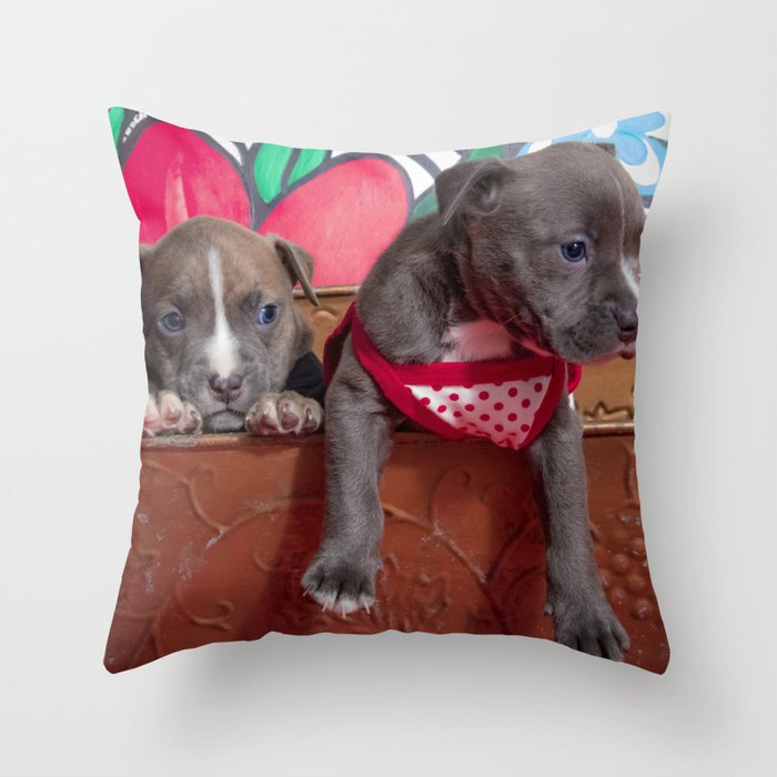 society6