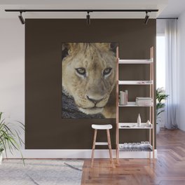 Lion_BrownBoarder Wall Mural