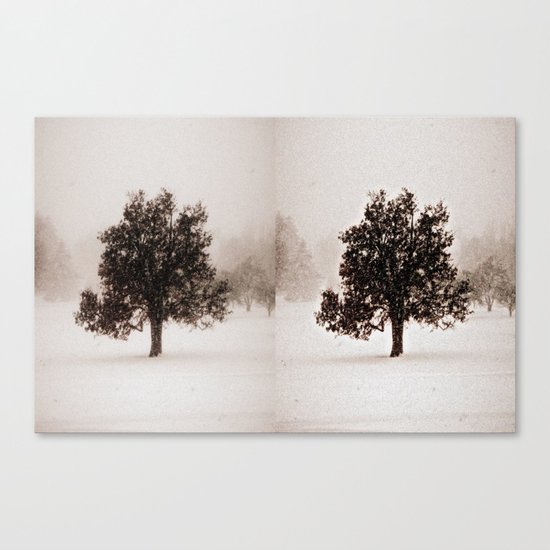 The Loner II Canvas Print