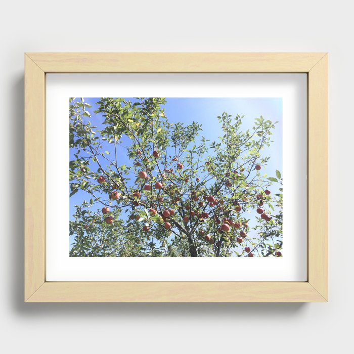 Apple Picking Recessed Framed Print