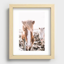 Iceland horses Recessed Framed Print