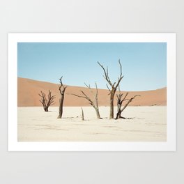 Desert Skeleton Trees African Landscape Art Print