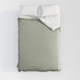 Soft Pastel Sage Green Gray Solid Color Pairs To Behr's 2021 Trending Color Jojoba N390-3 Comforter