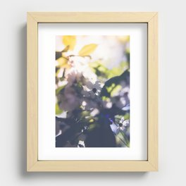 Contre-Jour Blooming Blossom Recessed Framed Print