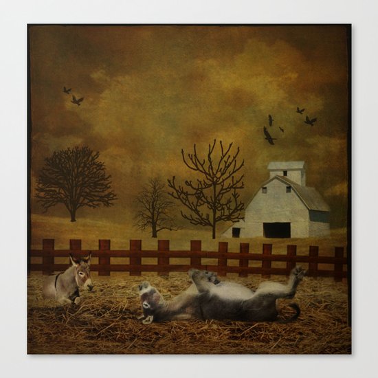 A Roll in the Hay Canvas Print
