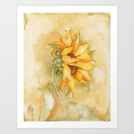 Fresco Sunflower Art Print