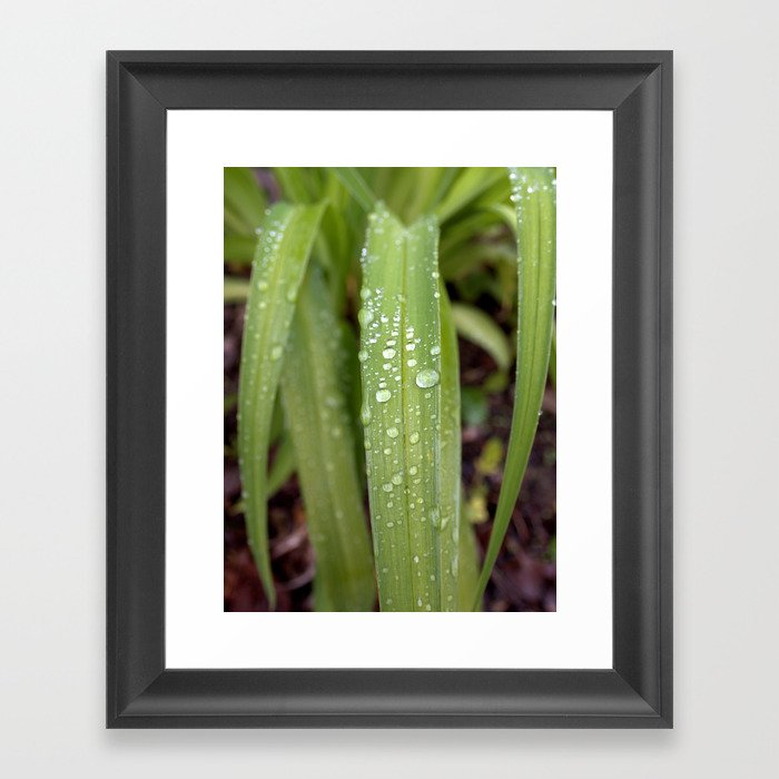 Rain Down Framed Art Print