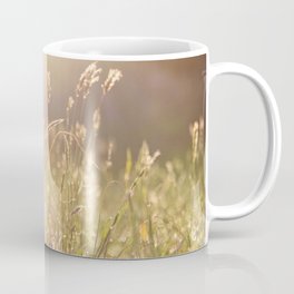 Soft morning sun light shining on the dew on sweet vernal grass. Coffee Mug