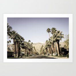 Palm Springs Palm Trees 3 Art Print