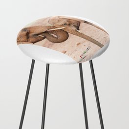 ELEPHANT LINKs Counter Stool