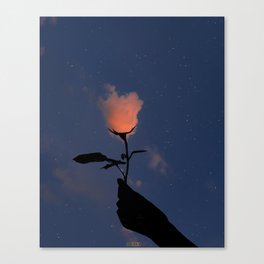 Cloud rose Canvas Print