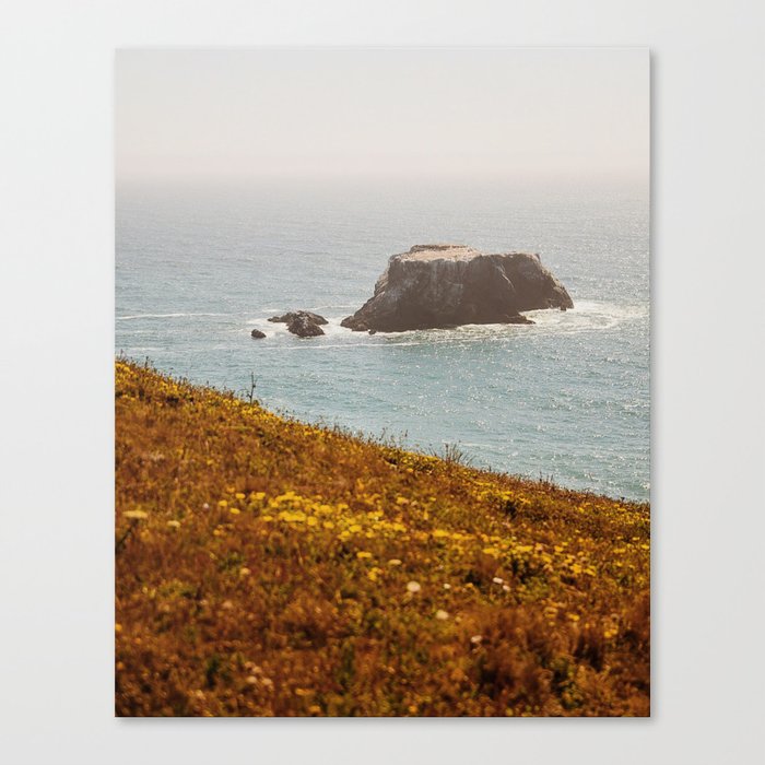 Flat Rock Canvas Print