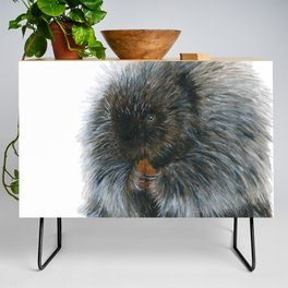 Vinnie the Porcupine by Teresa Thompson Credenza