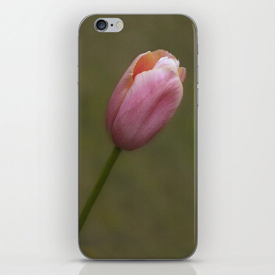 Pretty pink tulip iPhone Skin