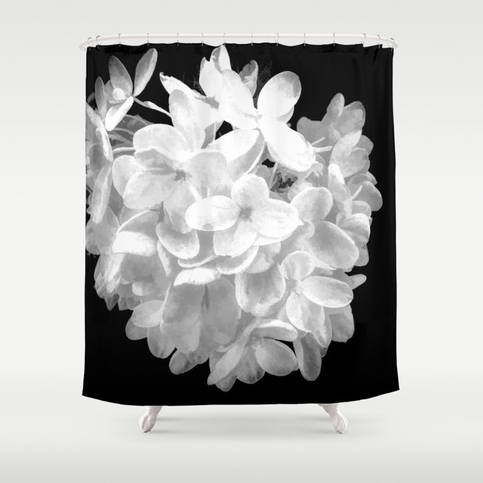 Hydrangea "SnowBall" In Black And White Shower Curtain
