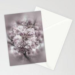 Cherry blossoms in detail Stationery Card