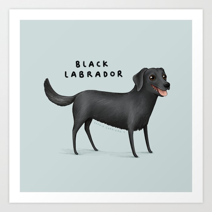 Black Labrador Art Print