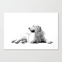 Red // Golden Retriever Canvas Print