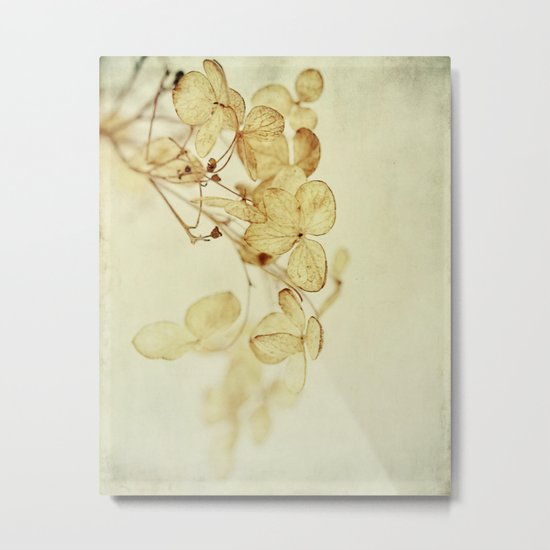 winter flora Metal Print