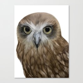 Owl Portrait Canvas Print