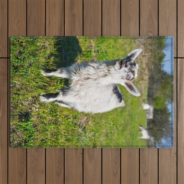 Crazy Funny Little Goat Looking Somewhere  Outdoor Rug