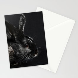 Mr Mica Rabbit Stationery Cards