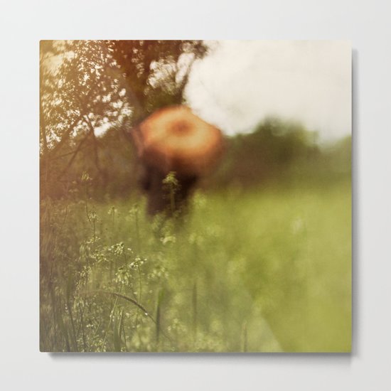 Afternoon Metal Print