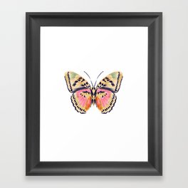 Butterfly Study no. 14 - butterfly art, watercolor butterfly, watercolor butterflies, painted butterfly, butterfly art, pink and yellow butterfly Framed Art Print