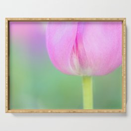 Pink tulip / close-up Serving Tray