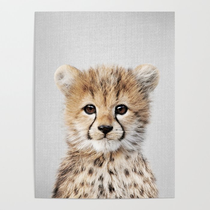 Baby Cheetah - Colorful Poster