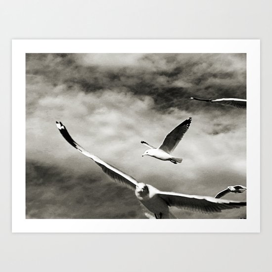 Gulls Art Print