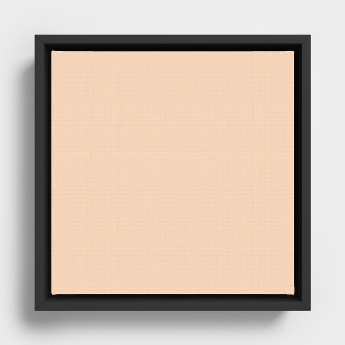Soft Peach Framed Canvas