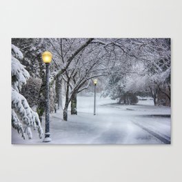 Street Lamp in the Snow Canvas Print